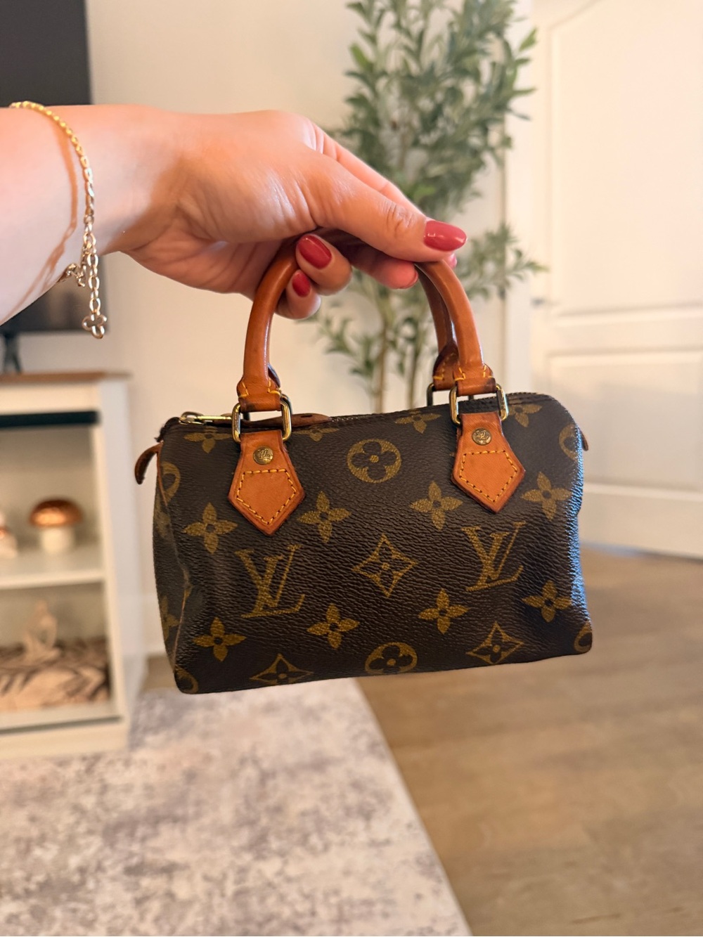 Louis Vuitton Nano Speedy Speedy